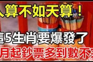 這五大生肖要爆發了，3月份鈔票多多