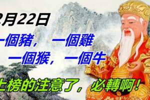 2月22日上榜的留意了，一個豬，一個雞，一個猴，一個牛必轉啊