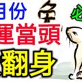 6月份鴻運當頭，大翻身的生肖