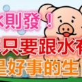 遇水則發，這幾個生肖今年只要跟水有關，全是好事！