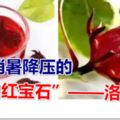 可消暑降壓的「植物紅寶石」——洛神花