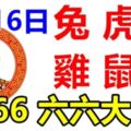 八月16日運勢大吉的生肖：兔虎羊雞鼠狗【666六六大順】運勢詳細版！