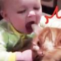 小寶寶趁貓咪熟睡時「大力咬下」牠的耳朵！下一秒喵星人的反應竟然是…讓人完全想不到啊！！