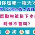 世上只有2%的人答對！測你是哪一種天才