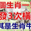 這3個生肖，一輩子要發橫財3次，數錢到百八十歲！尤其是生肖牛的！
