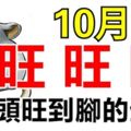 10月財運旺旺旺，運勢旺旺旺的三大生肖！