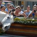 這匹馬兒參加了相處8年主人的葬禮，結果它「一看到棺材的反應」讓現場所有人都落淚了…
