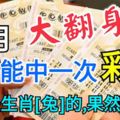 大翻身！11月至少能中一次彩票的幾大生肖！尤其是生肖「兔」的，果然逃不掉！