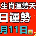 十二生肖運勢天天看，今日運勢：11月11日