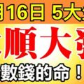 12月16日開始，這5大生肖大順大發，就是數錢的命！