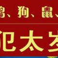 2018屬相狗、龍、雞、牛沖犯太歲！用這三招，黴運走，好運來！