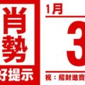 生肖運勢，天天好提示（1月3日）