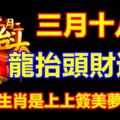 三月十八號龍抬頭財運到，這三大生肖是上上簽美夢要成真