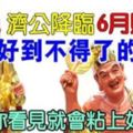 濟公來到你面前，6月財運好到不得了的生肖