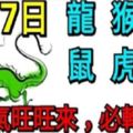7月7日生肖運勢_龍、猴、牛大吉