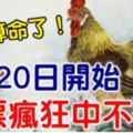 不用算命了！7月20日開始，這些生肖彩票瘋狂中不停！