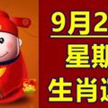 9月22號生肖運勢早知道