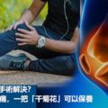 滑膜炎要不要手術解決？要告別關節疼痛，一把「干菊花」可以保養