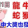 11月1日生肖運勢_龍、牛、豬大吉