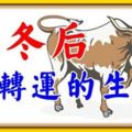 11月立冬後能踩到狗屎運，賺得盆滿缽滿的四大生肖