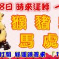 11月8日時來運轉一路發，猴豬蛇馬虎雞，88秒內打開，好運跟著來『16888』