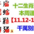 十二生肖運勢：本周運勢【11.12-11.18】千萬別錯失！