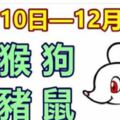 12生肖一周運勢（12月10日—12月16日）