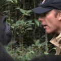 他把猩猩養大就野放叢林　5年後重逢猩猩做出「噴淚舉動」：把拔我好想你！