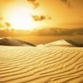 把沙漠中的沙子全都挖開，沙漠下面是什麼？看完長見識了