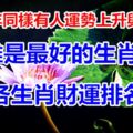 2019年同樣有人運勢上升與下降！誰是最好的生肖？各生肖財運排名~