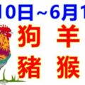 十二生肖一周運勢（6月10日~6月16日）