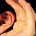 耳聾耳鳴常用五法五方，幾乎包含了耳聾耳鳴的各種情況。並且給出的處方中