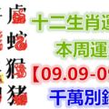 十二生肖運勢：本周運勢【09.09-09.15】千萬別錯失！