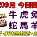 18號09月，今日我最旺！牛虎兔龍蛇馬羊猴！【18988】越早打開越靈驗！點個讚吧！