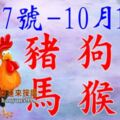 十二生肖一周運勢（10.7~10.13）