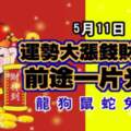 5月11日運勢大漲錢財大旺，前途一片光明的生肖