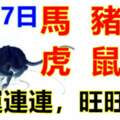 5月17日生肖運勢_馬、豬、狗大吉