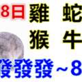 5月28日生肖運勢_雞、蛇、鼠大吉