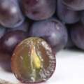 降血脂，防衰老，吃葡萄竟有這麼多好處，3個注意事項要留心