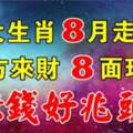 8月走大運的生肖，8方來財，8面玲瓏，賺錢好兆頭