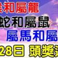 8月28日財富大爆發，頭獎運到的生肖