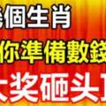 9月你準備數錢了，大獎砸頭頂的生肖