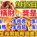 9月5日開始有頭獎大運的生肖，財是橫財，獎是頭獎