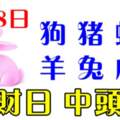 9月8日生肖運勢_狗、豬、蛇大吉