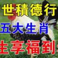前世積德行善，今生享福到老的五大生肖