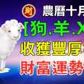 農曆十月初一（狗.羊.X.X）收穫豐厚橫財，財富運勢大增