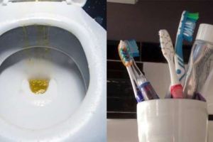 17個「大家都以為沒什麼，但其實已經默默養著一大群細菌」的浴室壞習慣！