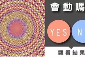 心理測試：這張圖到底動沒動，測出你的個性怎樣