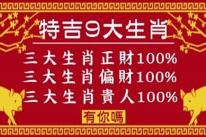 特吉「9大生肖」，2019年三大生肖有正財，三大生肖有偏財，三大生肖有貴人！