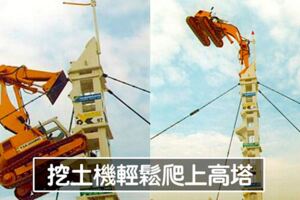 18張讓你「必須暫時放下常識」的驚人事實照